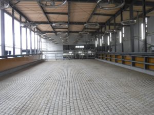瑞穂農場様　施設新築工事