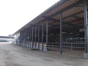 瑞穂農場 施設新築工事